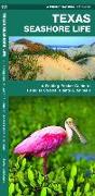Texas Seashore Life, 2nd Edition: A Folding Pocket Guide to Familiar Coastal Plants & Animals