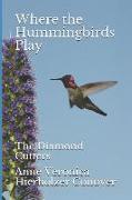 Where the Hummingbirds Play: The Diamond Cutters