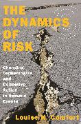 The Dynamics of Risk