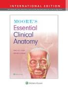Moore's Essential Clinical Anatomy, International Edition