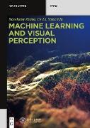 Machine Learning and Visual Perception