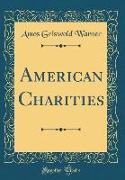 American Charities (Classic Reprint)