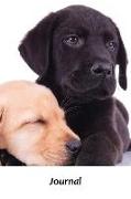 Journal: Adorable Labrador Retrievers 6 X 9 Lined Journal