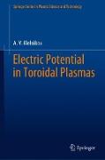 Electric Potential in Toroidal Plasmas