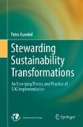 Stewarding Sustainability Transformations