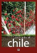 Manual práctico para el cultivo del chile