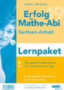 Erfolg im Mathe-Abi 2019 Lernpaket Sachsen-Anhalt