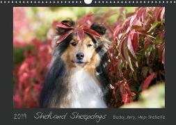 Shetland Sheepdogs Blacky, Anry, Mojo Sheltielife 2019 (Wandkalender 2019 DIN A3 quer)
