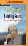 Guiding Souls: Dialogues on the Purpose of Life