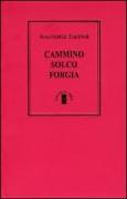 Cammino-Solco-Forgia