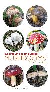 Pocket Guide to Mushrooms