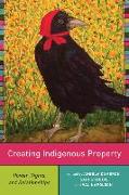 Creating Indigenous Property: Power, Rights, and Relationships