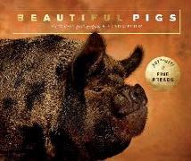 Beautiful Pigs