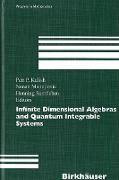 Infinite Dimensional Algebras and Quantum Integrable Systems