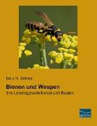 Bienen und Wespen