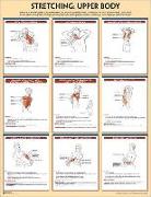 Stretching Poster: Upper Body