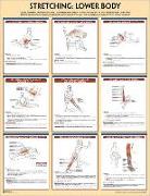 Stretching Poster: Lower Body