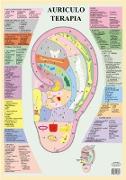 Auriculo Terapia -- A2