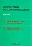 Gauge Fields In Condensed Matter (In 2 Volumes)