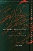 Ambiguities of Witnessing