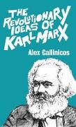 The Revolutionary Ideas Of Karl Marx