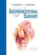 Atlas of Gastrointestinal Surgery, 2/e