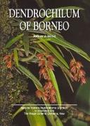 Dendrochilum of Borneo