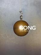 GONG