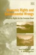 Economic Rights and Environmental Wrongs