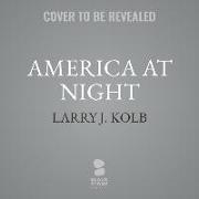 America at Night: The True Story of Two Rogue CIA Operatives, Homeland Security Failures, Dirty Money, and a Plot to Steal the 2004 Us P
