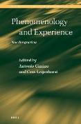 Phenomenology and Experience: New Perspectives