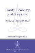 Trinity, Economy, and Scripture