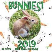 Bunnies! 2019 Mini Wall Calendar (UK Edition)