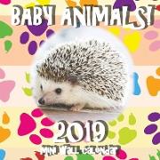 Baby Animals! 2019 Mini Wall Calendar
