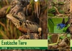 Exotische Tiere im Tropenhaus Klein Eden in Tettau (Wandkalender 2019 DIN A3 quer)