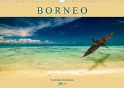 Borneo - Exotische Faszination (Wandkalender 2019 DIN A3 quer)