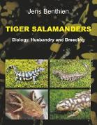 Tiger Salamanders