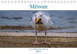 Das wilde Leben der Möwen (Tischkalender 2019 DIN A5 quer)