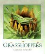 Grasshoppers