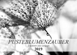 Pusteblumenzauber in schwarzweiß (Wandkalender 2019 DIN A2 quer)