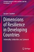 Dimensions of Resilience in Developing Countries
