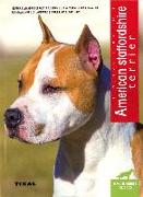 AMERICANSTAFFORDSHIRE TERRIER