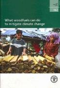 What Woodfuels Can Do to Mitigate Climate Change: Fao Forestry Paper No. 162