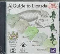 A Guide to Lizards