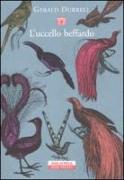 L'uccello beffardo