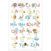 ABC Poster 70,7x100 cm. Alphabet spielerisch mit Tieren lernen | Das ABC-Lernposter mit Groß- und Kleinbuchstaben |