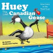 Huey The Lost Canadian Goose