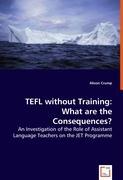 TEFL without Training: What are the Consequences?