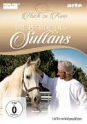 Die Pferde des Sultans-Hoch zu Ross