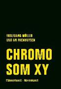 Chromosom XY